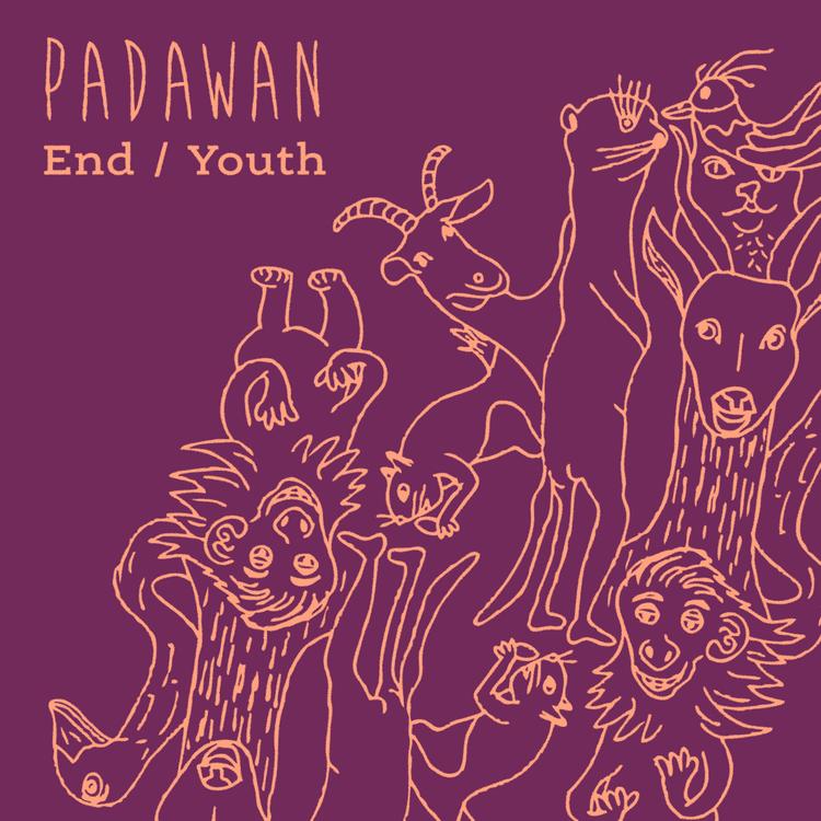 PADAWAN's avatar image