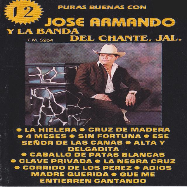 José Armando's avatar image