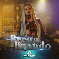 Banda Sedutora do Brasil's avatar cover