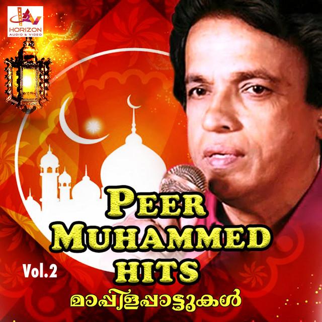 Peer Muhammed's avatar image