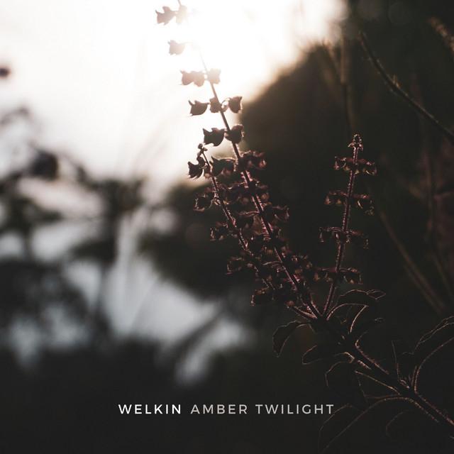 Amber Twilight's avatar image