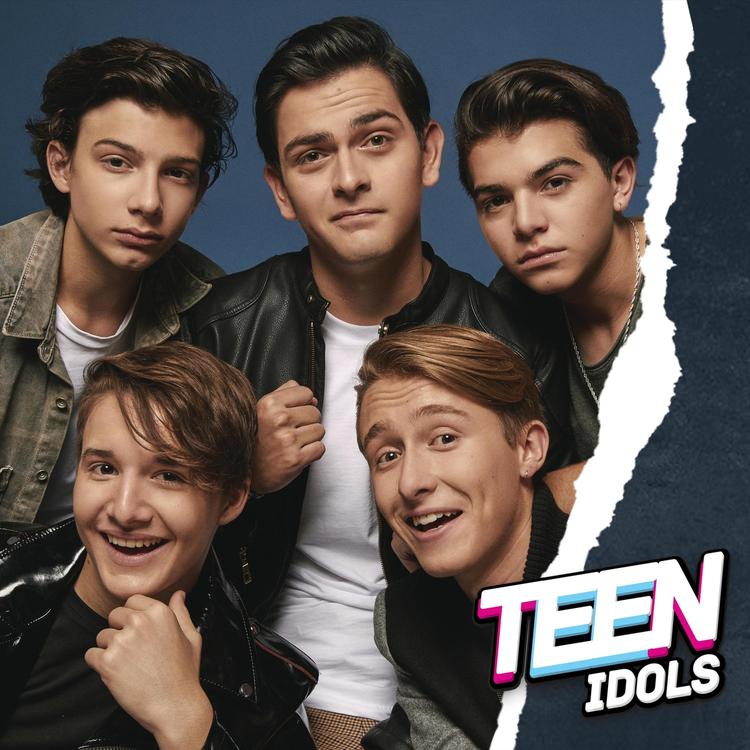 Teen Idols's avatar image