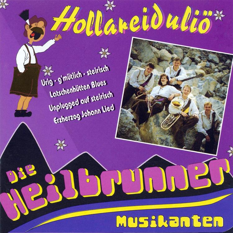 Die Heilbrunner Musikanten's avatar image