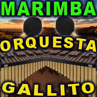 MARIMBA ORQUESTA GALLITO's cover