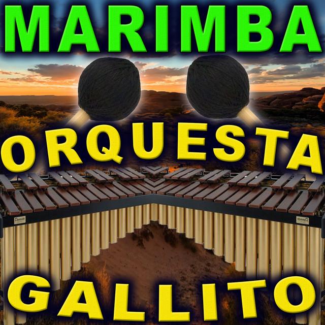 MARIMBA ORQUESTA GALLITO's avatar image