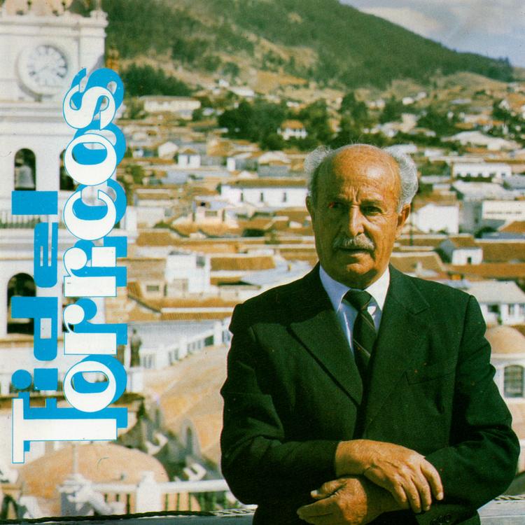 Fidel Torricos's avatar image