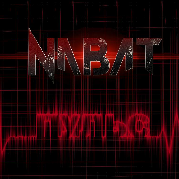 NABAT's avatar image