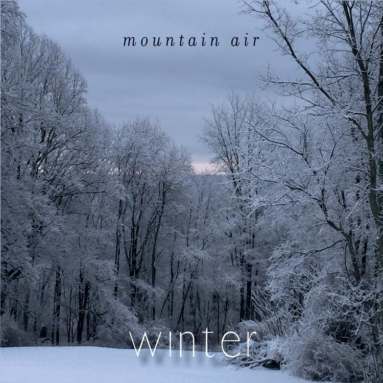 Mountain Air's avatar image