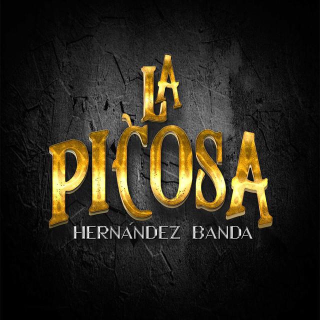 La Internacional Picosa Hernandez Banda's avatar image