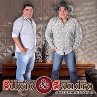 Silvio e Sandro's avatar cover