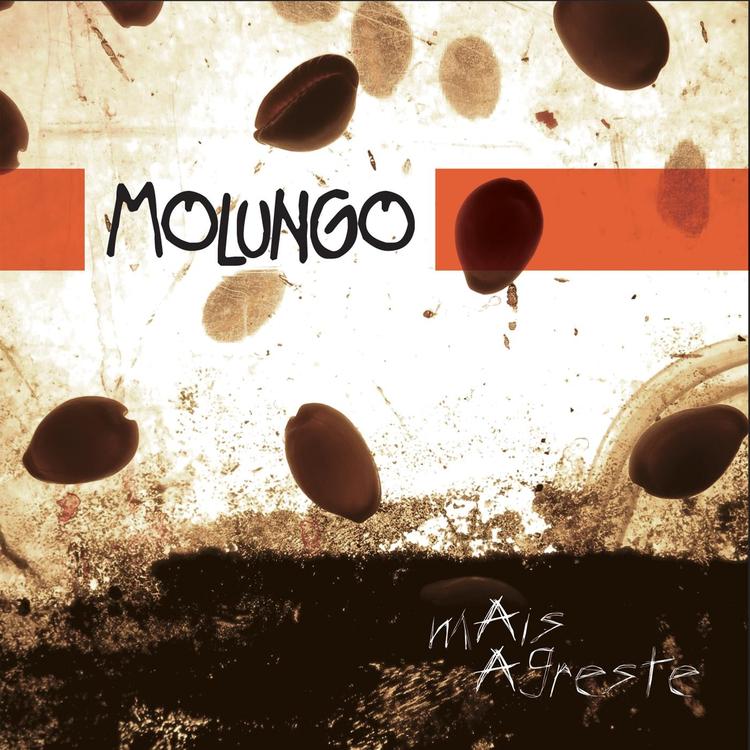 Molungo's avatar image