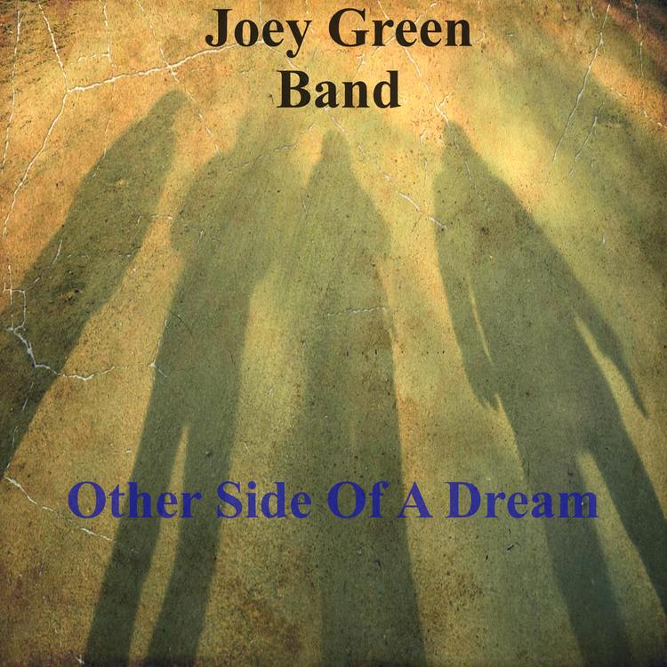 Joey Green Band's avatar image