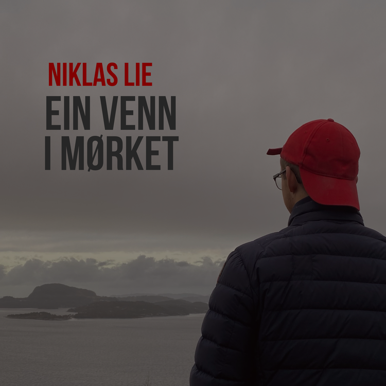 Niklas Lie's avatar image