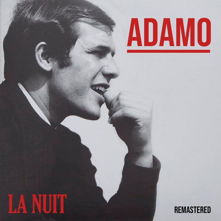 Adamo's avatar image