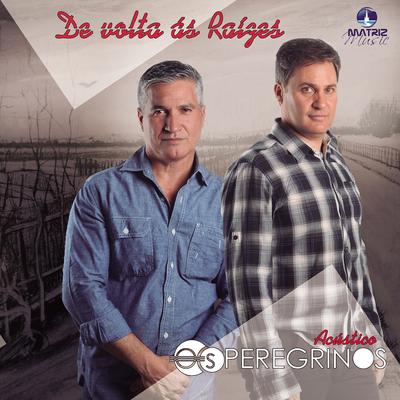De Volta as Raízes (Acústico)'s cover