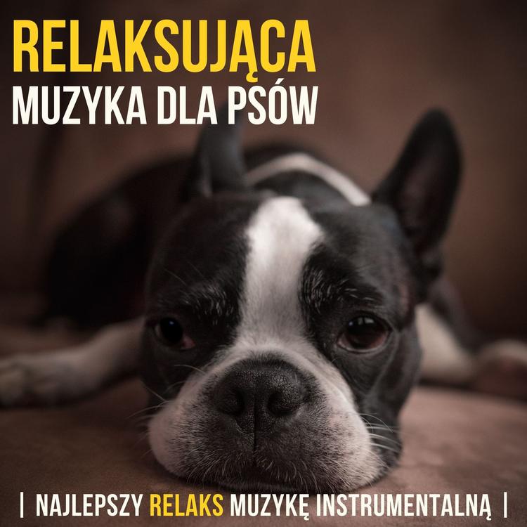 Relaks Psów's avatar image