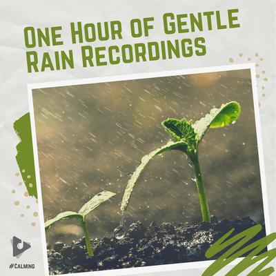 Rain Rain Rain By #Calming, Rain Sounds's cover