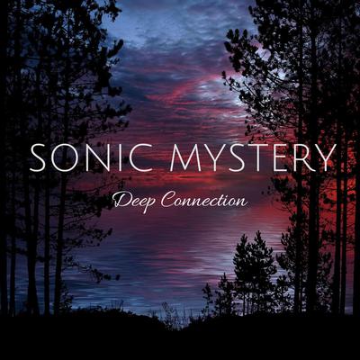Sonic Mystery's cover