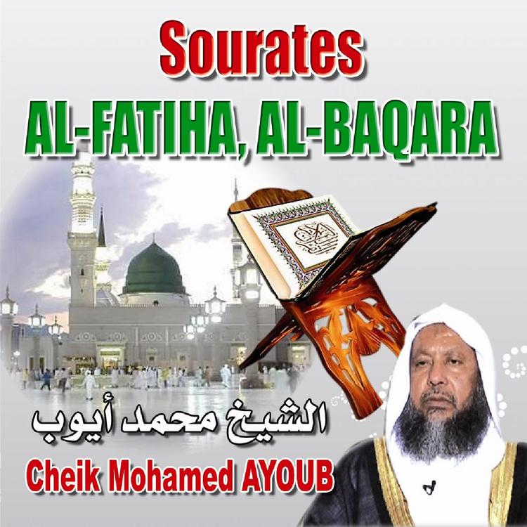 Cheik Mohamed Ayoub's avatar image