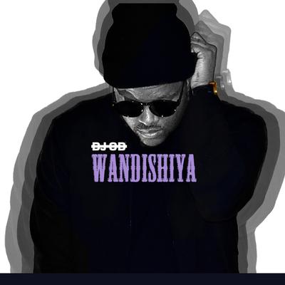 Wandishiya (Radio Edit)'s cover