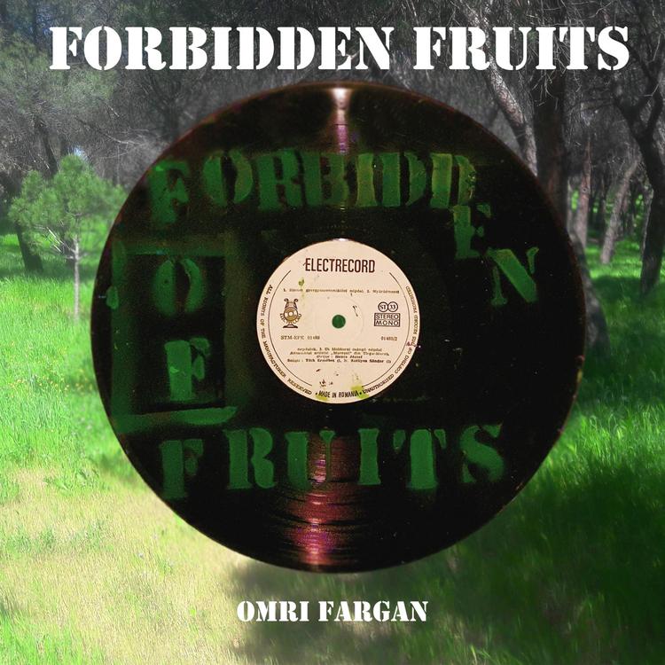Omri Fargan's avatar image