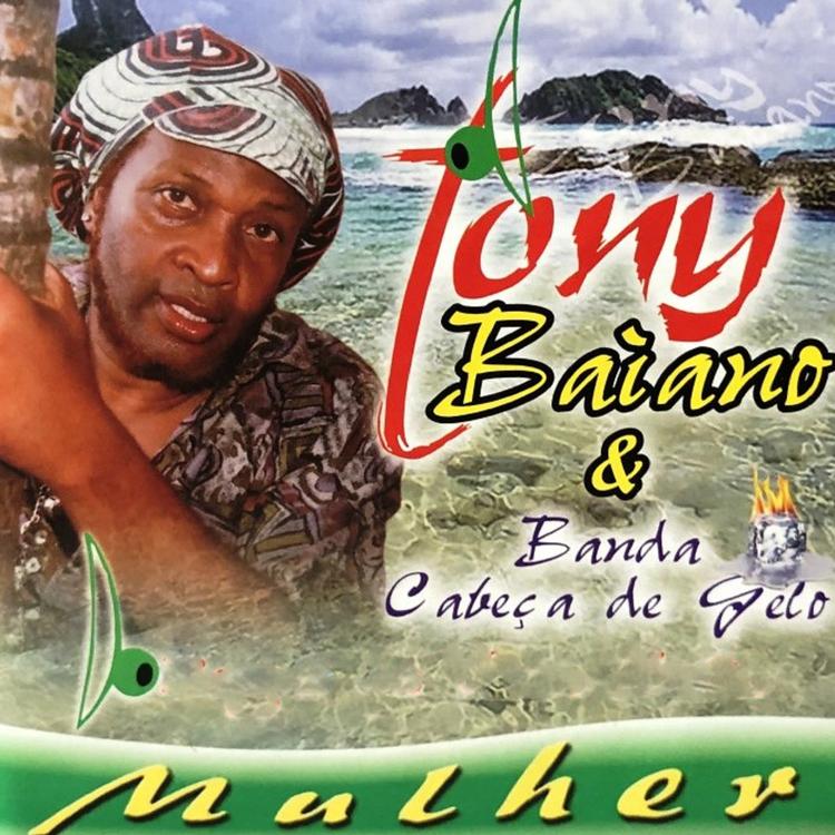Tony Baiano & Banda Cabeça de Gelo's avatar image