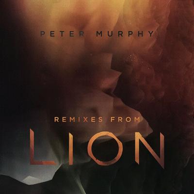 Remixes from Lion's cover