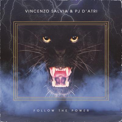 Follow the Power By Vincenzo Salvia, PJ D'Atri's cover