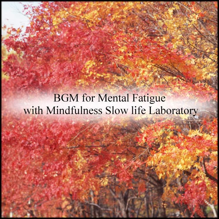 Mindfulness Slow Life Laboratory's avatar image