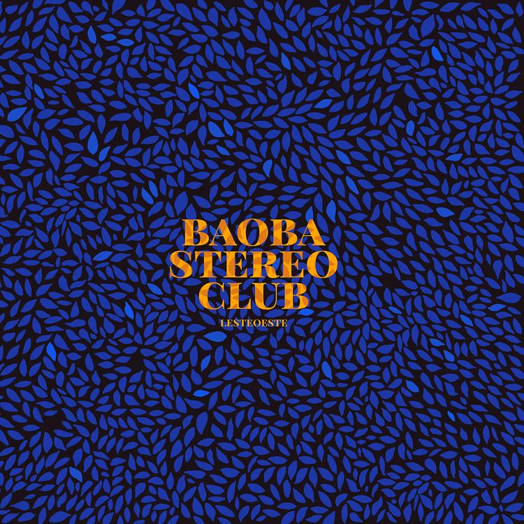 Baoba Stereo Club's avatar image