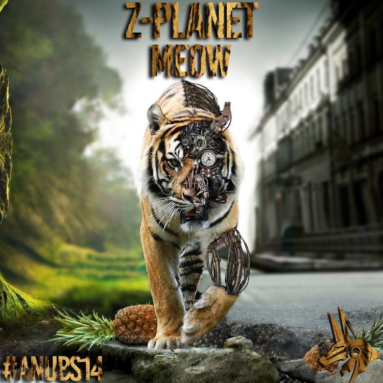 Z-Planet's avatar image