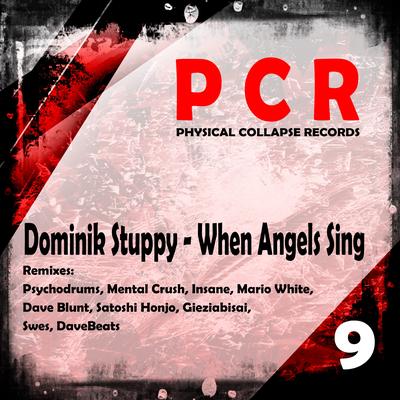When Angels Sing By Dominik Stuppy's cover