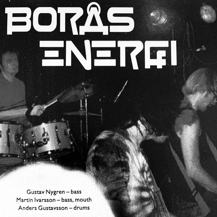 Borås Energi's avatar image