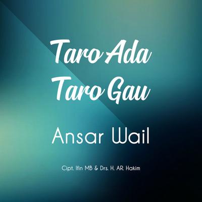 Ansar Wail's cover