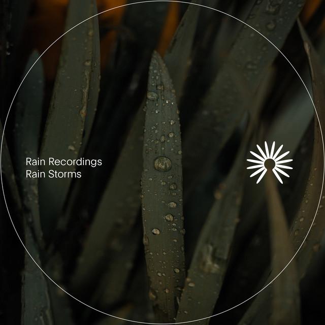 Rain Recordings's avatar image
