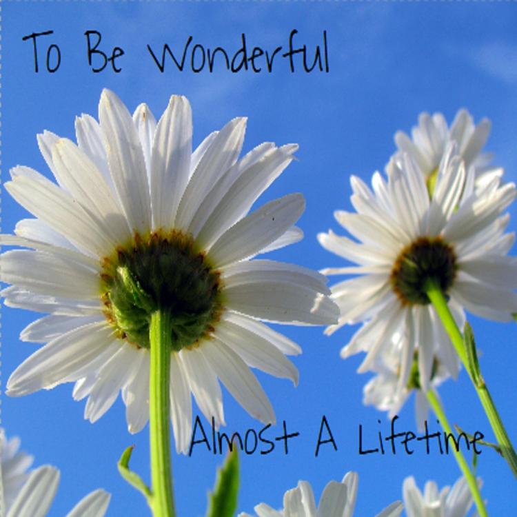 To Be Wonderful's avatar image