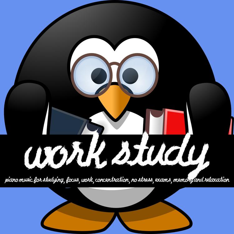 Work Study's avatar image