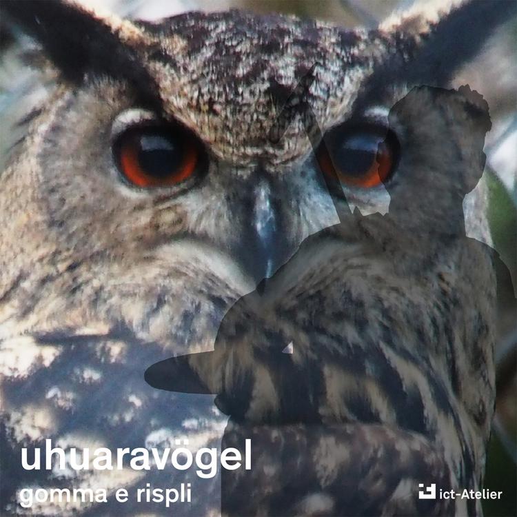 Uhuaravögel's avatar image