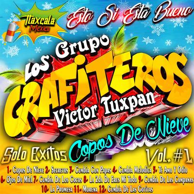 Copos de Nieve By Grupo Los Grafiteros's cover