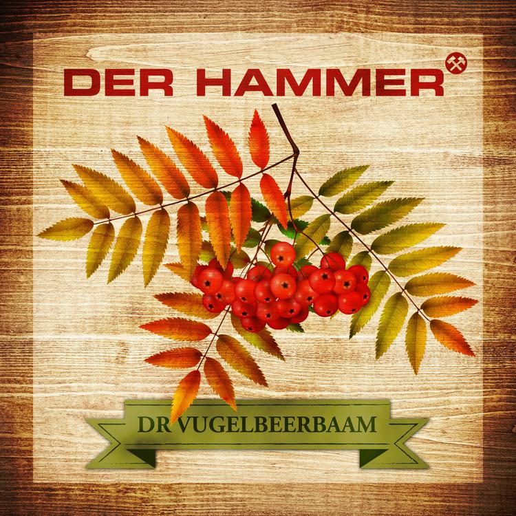 Der Hammer's avatar image