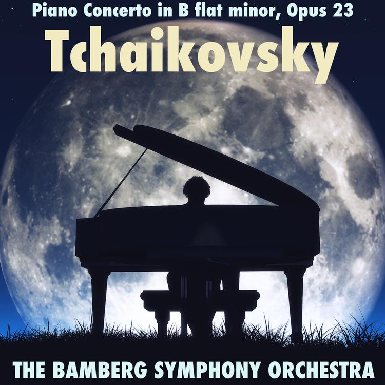 The Bamberg Symphony Orchestra's avatar image