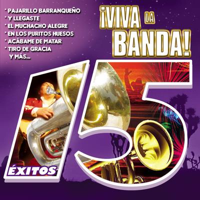 ¡viva la Banda!'s cover