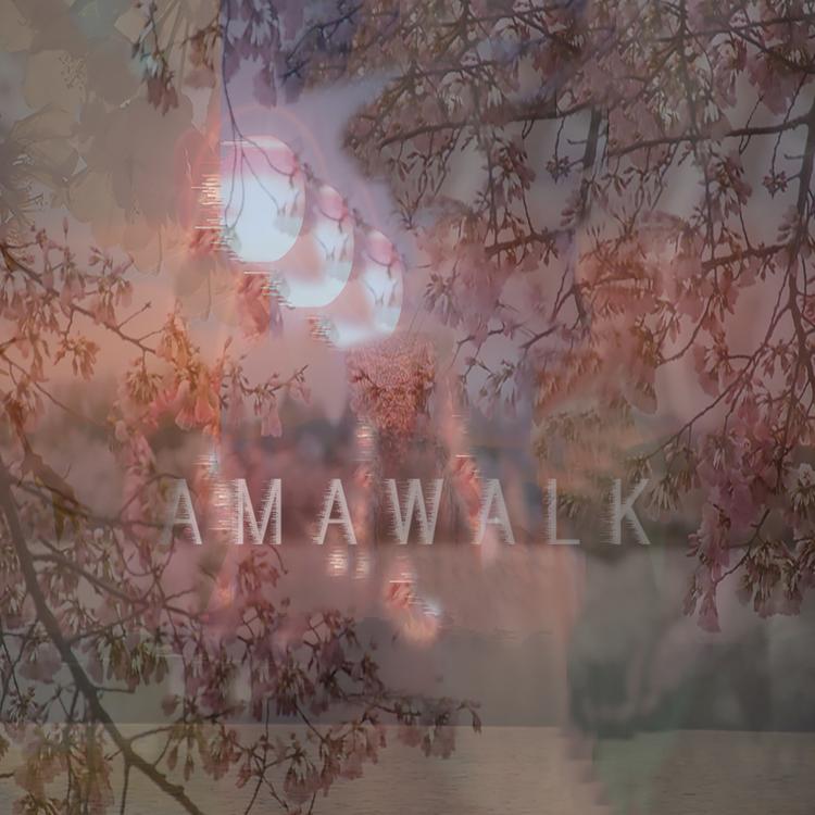 AMAWALK's avatar image