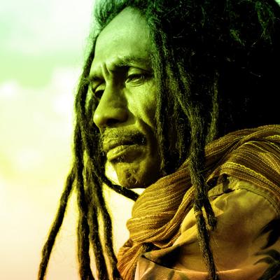 Fredi Marley's cover