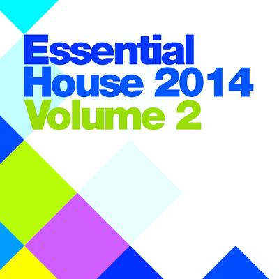 Essential House 2014 Vol.2's cover