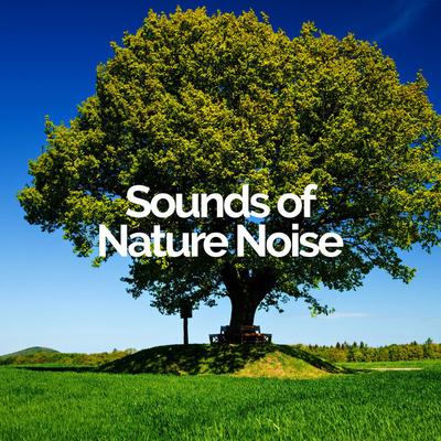 Sounds of Nature Noise's cover