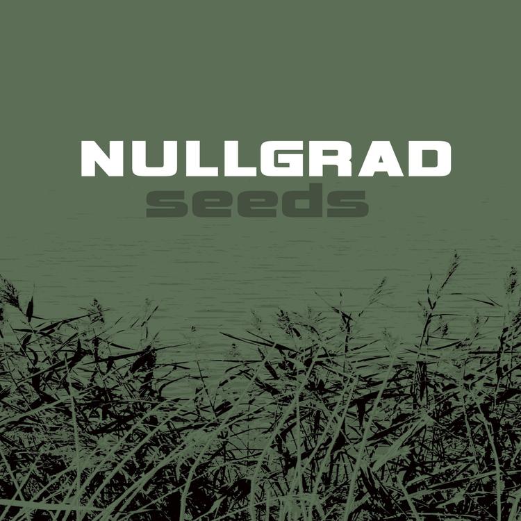 Nullgrad's avatar image