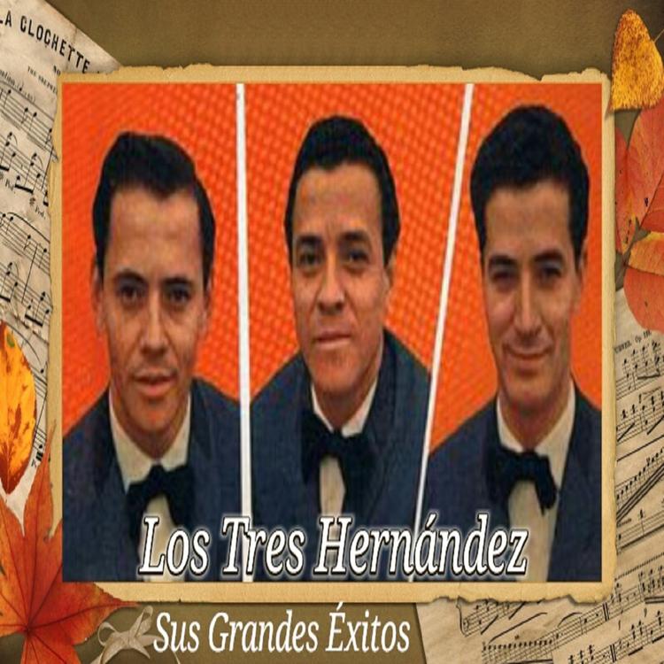 Los Tres Hernandez's avatar image