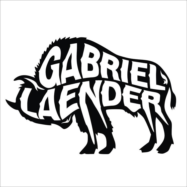 Gabriel Laender's avatar image