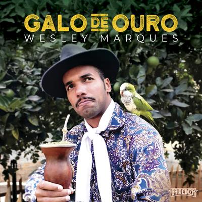 Galo de Ouro's cover